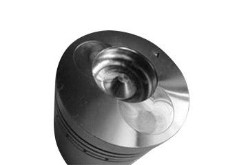 Garnitures de tuyau d'acier inoxydables métriques filetées de piston